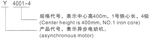 西安泰富西玛Y系列(H355-1000)高压YJTFKK5001-6三相异步电机型号说明